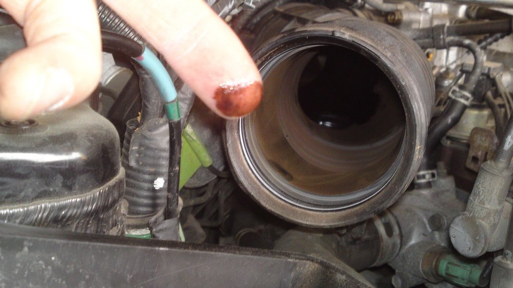 09062011195.thumb.JPG.00f15865eb96407989fe389b9a323c3b.JPG