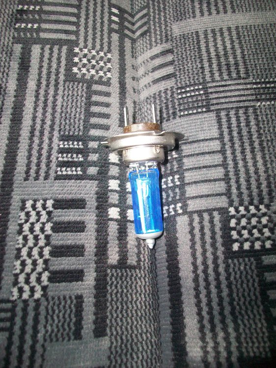 100_1881.thumb.JPG.3d19b3172f0e28e97cfc499fac02ecba.JPG