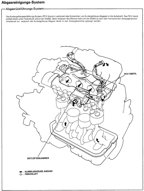 1552778856_Kurbelgehuse-Zwangsentlftungssystem(PCV).thumb.jpg.efe6012d9b3823163ccf176d33d2a92c.jpg