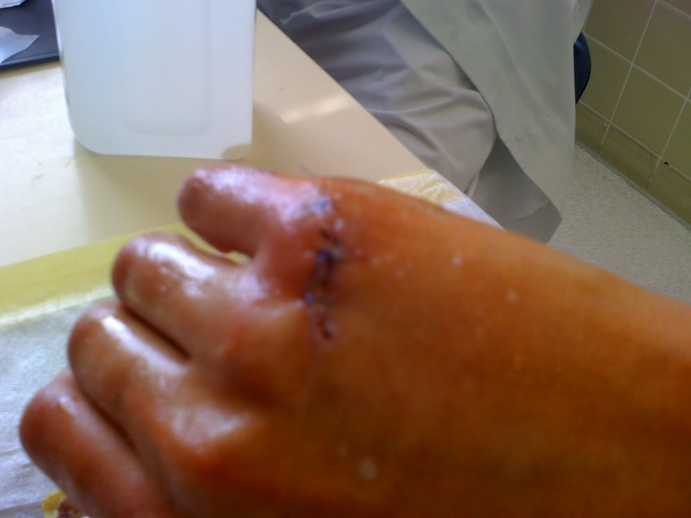 24-05-08_0956.thumb.jpg.65c3517bf85e7c509ab32f616857921d.jpg