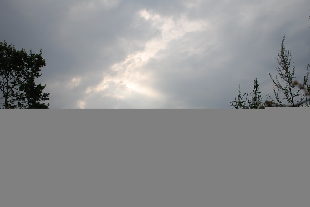 DSC_1608.thumb.JPG.7e971937da72c3ba927bf43f11d81389.JPG