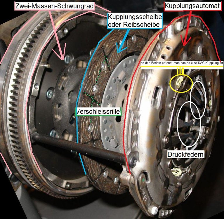 Kupplung.thumb.jpg.55395a545135be8c4533f77960f25149.jpg