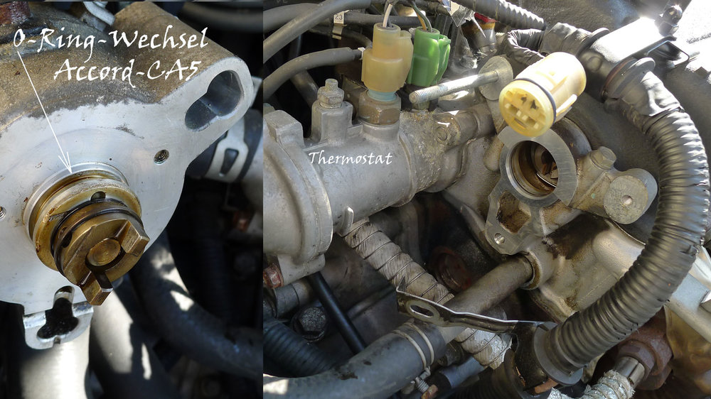 O-Ring-Wechsel-CA5.thumb.jpg.7aab4e635a3d91c9b468edd6875c008b.jpg