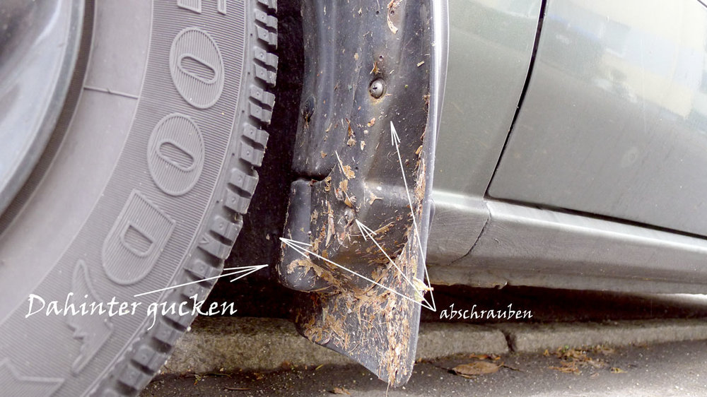 Schmutzabweiser-CA5.thumb.jpg.a50293634ad3210afaf6693c9d9dd746.jpg