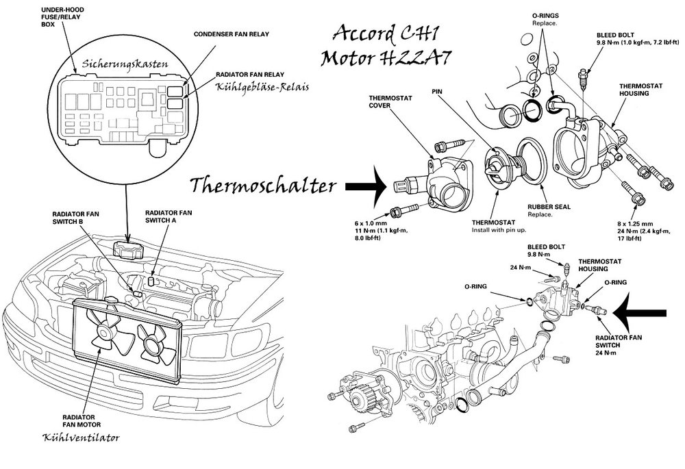 thermoschalter-CH1.thumb.jpg.116fe09c1d293b5848b88dd6d2722821.jpg