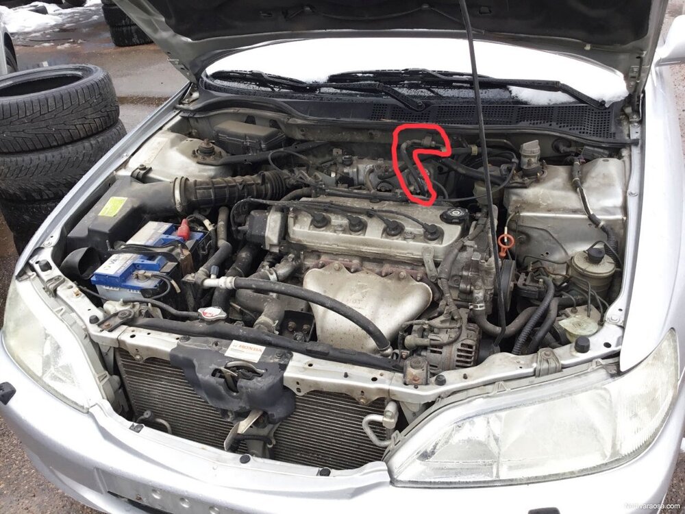 Honda-Accord-ef361a96eb2c17bc-large.jpg